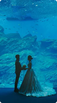 フォトウェディングの選択肢04｜水族館の大水槽前でドレス＆タキシード